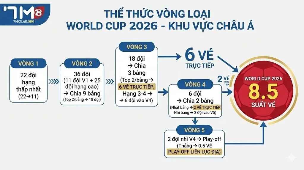 Lịch trình các giai đoạn